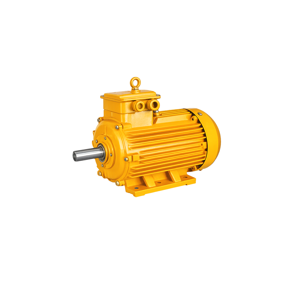 Explosion-Proof Three Phase Induction Motor